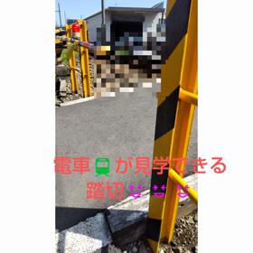 3月のあなたはスペシャルランクでした！の画像