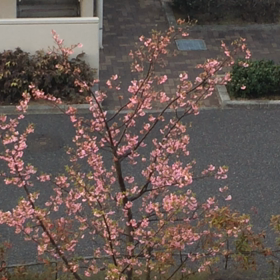 今日という、当たり前の特別な1日を。の画像