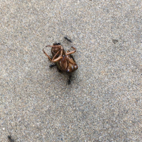 うんしょ！ うんしょ！の画像