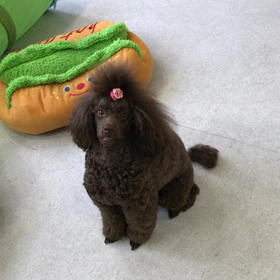 ♪プレイルーム動画♪の画像