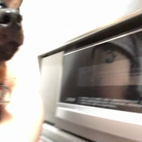 トライアル決定❣️の画像