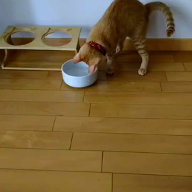 水遊び？？の画像