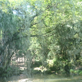 動画  鍋ヶ滝の画像