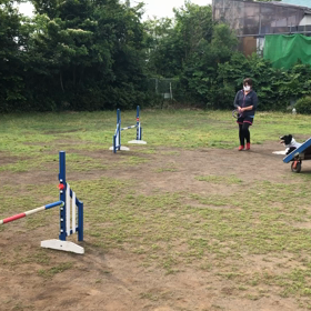 久々に車に30分乗った！の画像