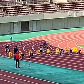 クラブ交流 ４年男子80m④の画像