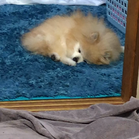 ちょいちょい…ちょちょいちょい…の画像