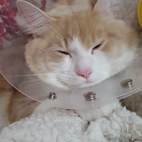 日常のありがたさ。の画像