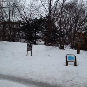 大沼videoの画像