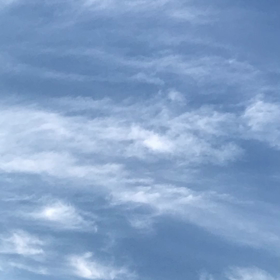 頑張って作りました。の画像