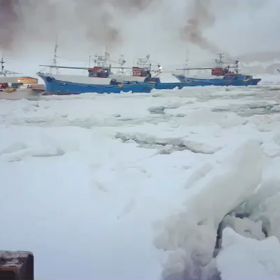 羅臼の友人から！の画像