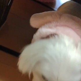 最近のできごとの画像