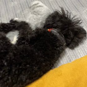 なんとなく充実感の画像