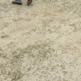 町内のグランドの清掃参加に総代さんの御礼の画像