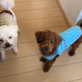 皆に感謝ですの画像