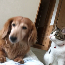 悲しいかな…強制終了！写真整理は涙涙の画像