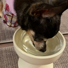 いい一日の画像