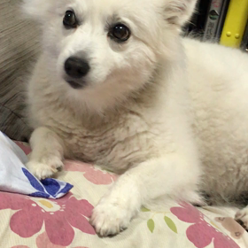 何みてるのかなの画像