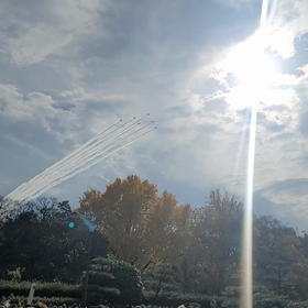 空を見上げ続けた日の画像