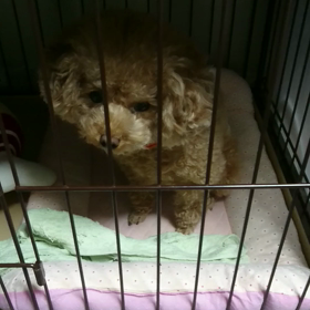 おはようごさいますの画像