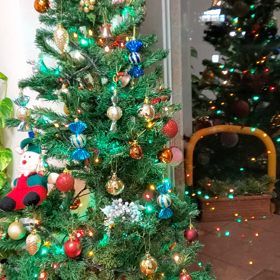 クリスマスツリーの画像