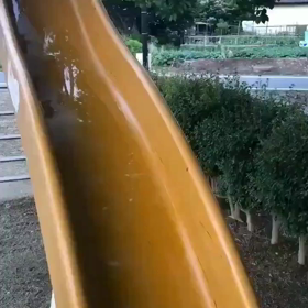 拡散希望の画像