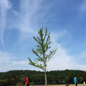 まもなく新人戦！！！の画像