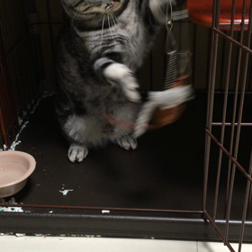 とらぢ@61の画像