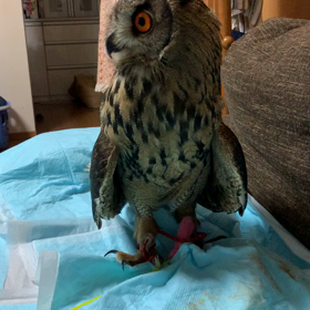 毎晩大暴れ(¬_¬)の画像