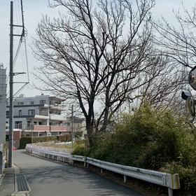 春が待ち遠しいの画像