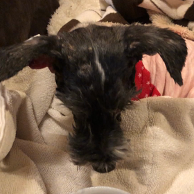 お食事タイム！の画像