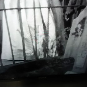 映画評:「嵐が丘」　　誤訳で名画がだいなし。 新婦に羽をプレゼントするわけがありません。の画像