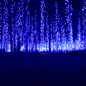 きぶんてんかんに(ノ_＜。)の画像