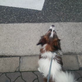 廃品回収の画像