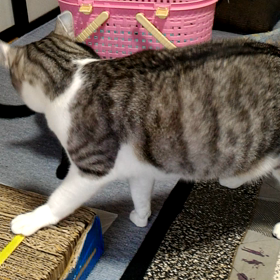 副作用抜けたかな？の画像