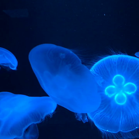 初めて❣️の画像