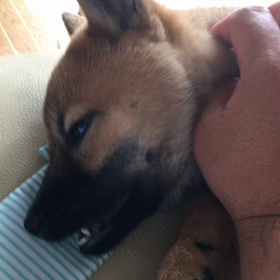 ヒ・ミ・ツ♡の画像