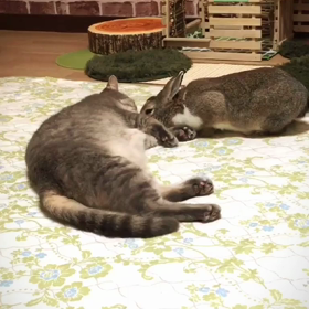 ムチとアメ♡の画像