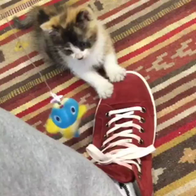 ユファン君インスタの画像