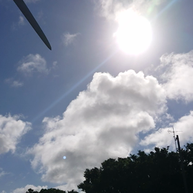 気持ち良い青空の下での画像
