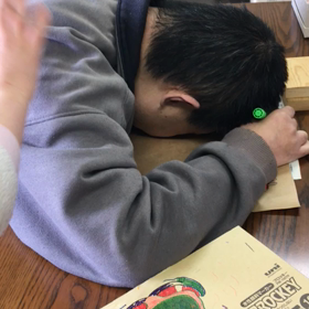 基本暦どおりなそらまめです。の画像