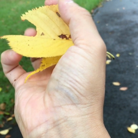 覚醒？ハンドパワー？フォース？の画像