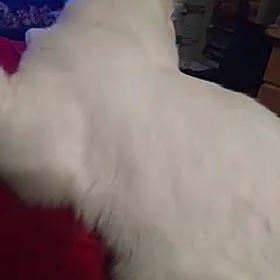 a13ヒロくんの画像