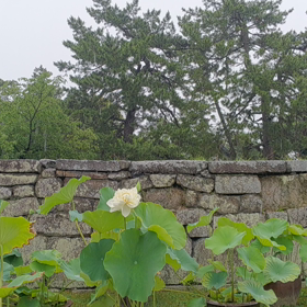 雨…☆(3日目)の画像