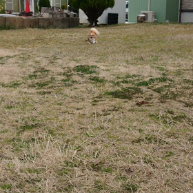 おはようございます。の画像