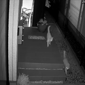 防犯カメラは見たの画像