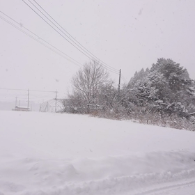 白銀の世界です！！の画像