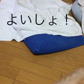 ４月4日22:00のご飯ちょうだい動画の続き！トップライド！の画像