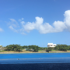 ラン動画分析の画像