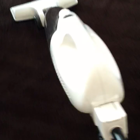 我が家の困ったちゃんの画像