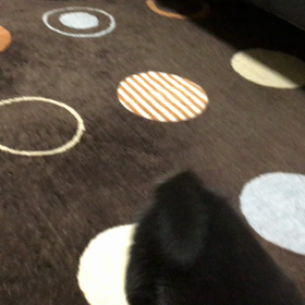 ちょこまかちょこまか┗(^o^)┓三の画像